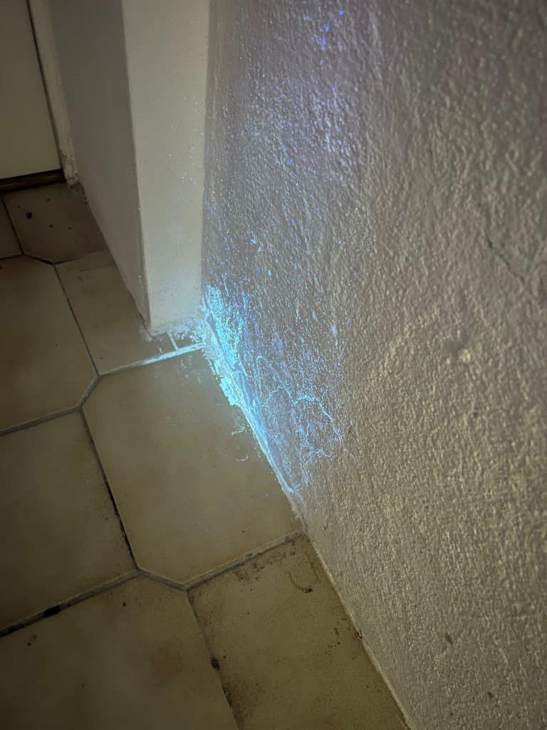 Schimmel unter Wand