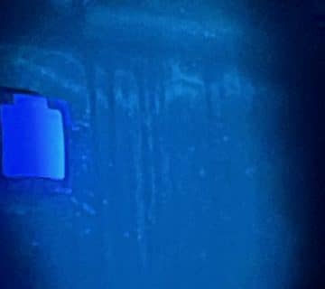 Mit Forensik-Lampe Schimmel aufspüren