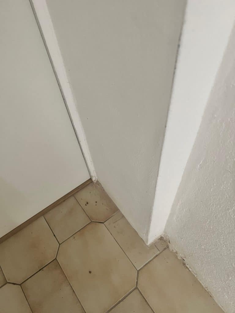 Schimmel unsichtbar