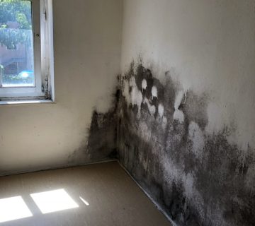 Schimmel im Wohnraum, wegen hoher Feuchtigkeit an der Wand - der Taupunktrechner kann helfen.