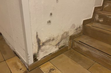 Feuchtigkeit-im-Mauerwerk (1) Aufsteigende Feuchtigkeit
