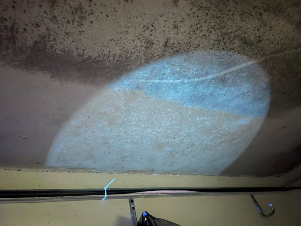 IMG_4090 Schimmelpilz entfernen: bautenschutz katz entdeckt sogar versteckten Schimmel mit UV Lampen